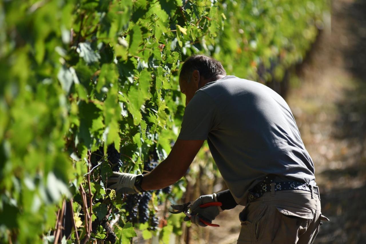 Il Palazzo - Agriturismo, Winery Αρέτσο Εξωτερικό φωτογραφία