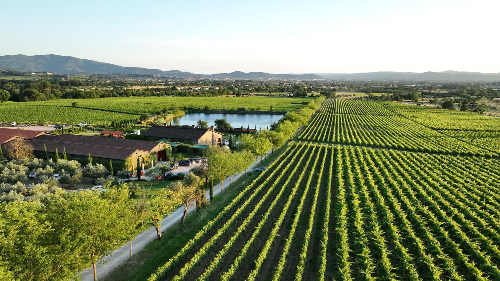 Il Palazzo - Agriturismo, Winery Αρέτσο Εξωτερικό φωτογραφία