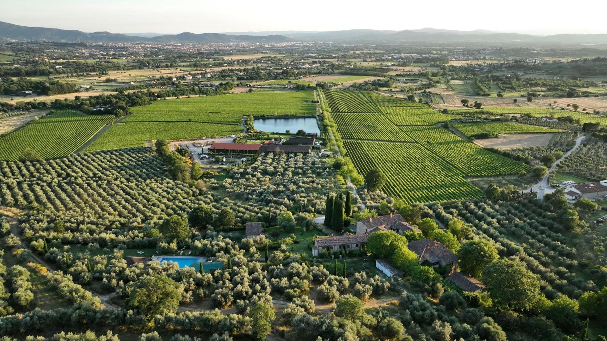 Il Palazzo - Agriturismo, Winery Αρέτσο Εξωτερικό φωτογραφία